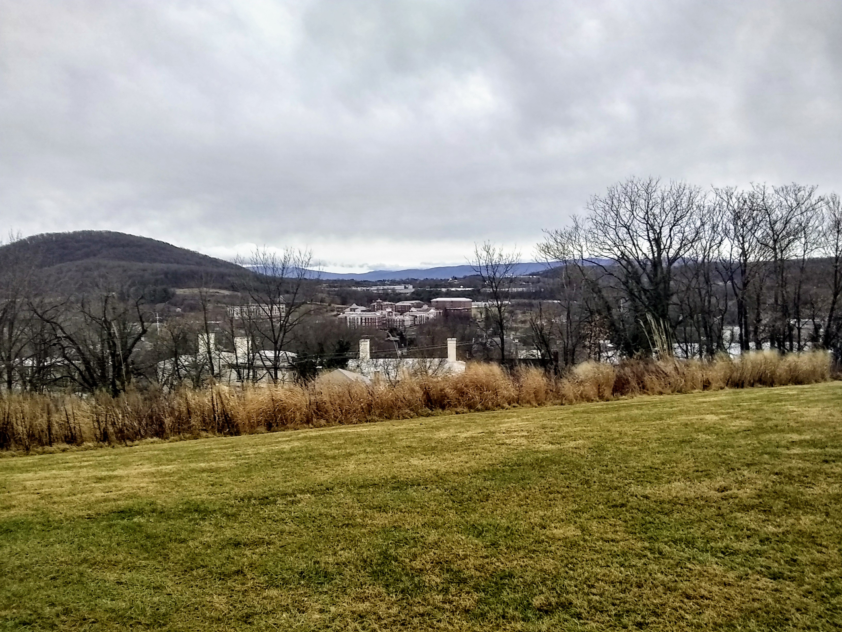 IMG_20181228_162351429_HDR